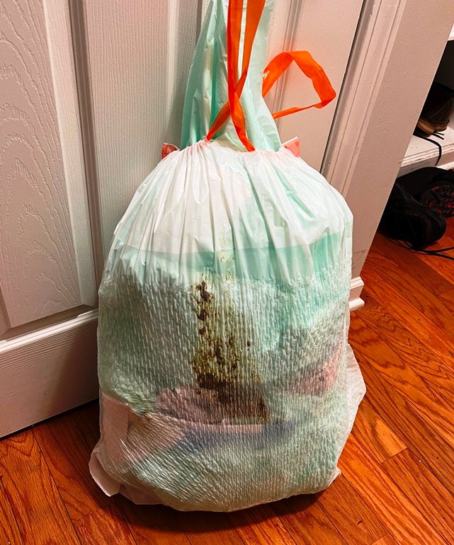 Two days of poo pads and waste from two foster puppies