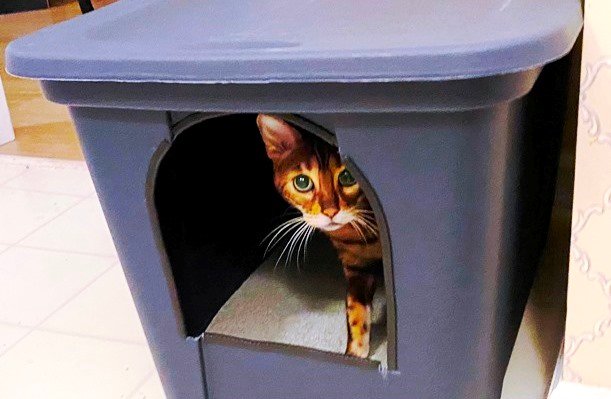 DIY 101: Make your own super jumbo litter box for your cat!
